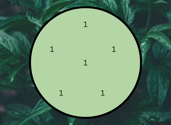A diagram showing how to make A Petunia Containers for the Landscape