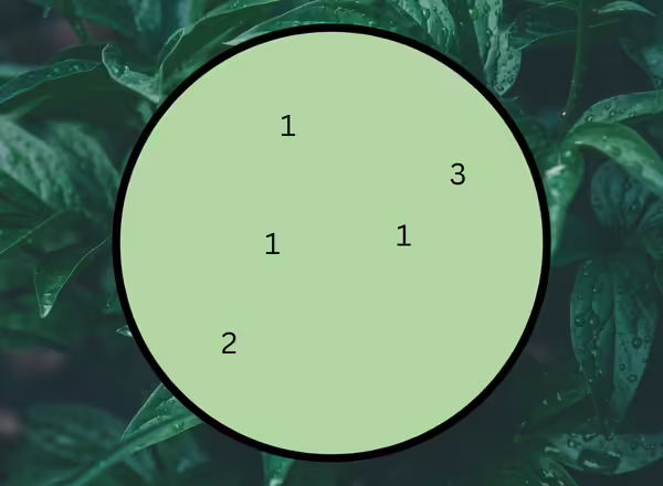 A diagram showing how to make A Tall Elegance for a Semi-Shady Spot