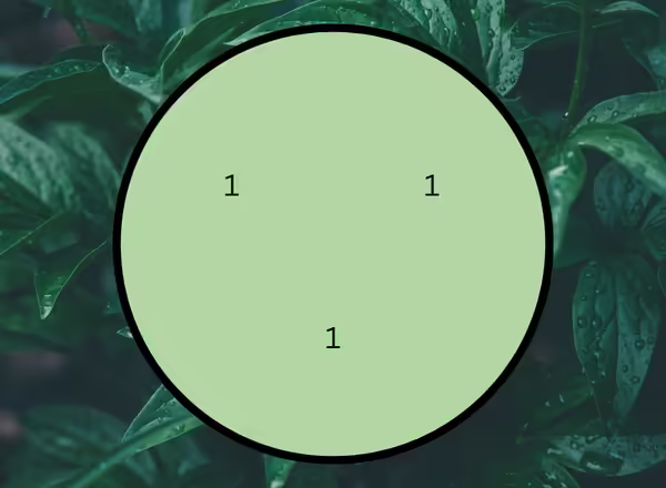 A diagram showing how to make A Using Grass for Interesting Baskets