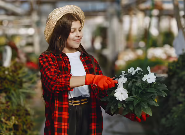 Women pruning a small plant