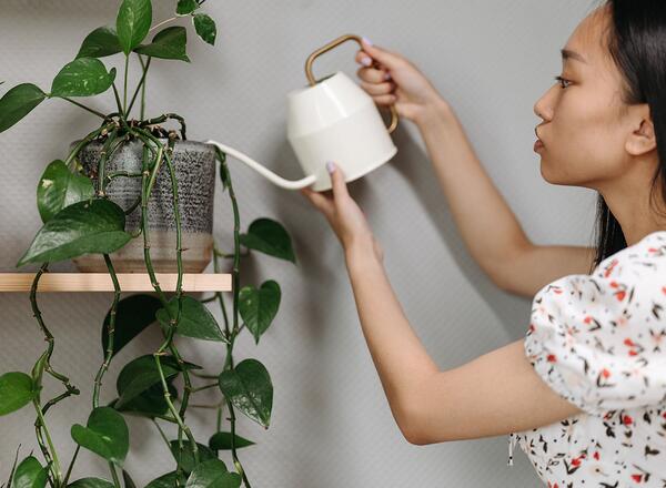 Women watering a potted plant