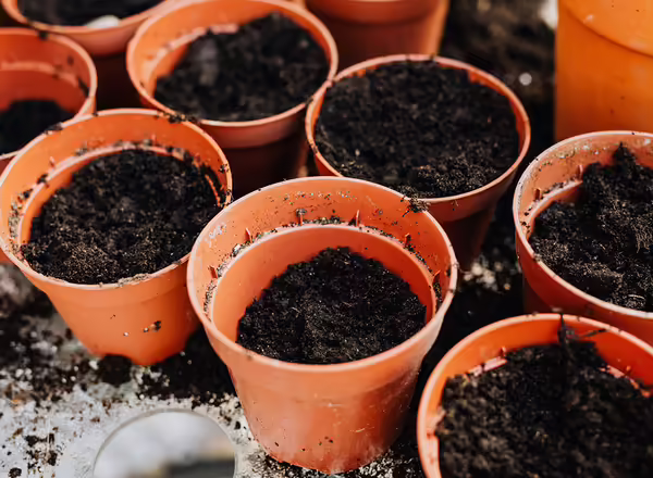 pots of soil