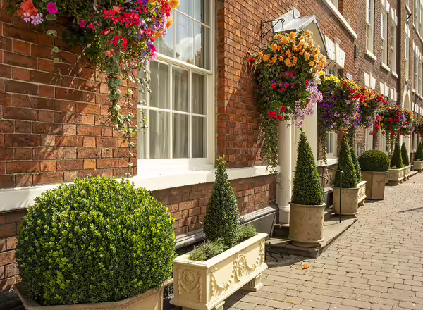 topiaries and bushes planted in container gardens near buildings