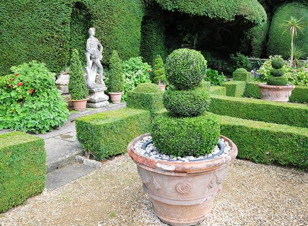 topiaries and statue in a garden