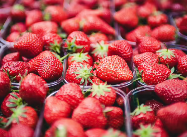 strawberries in clear plastic containers