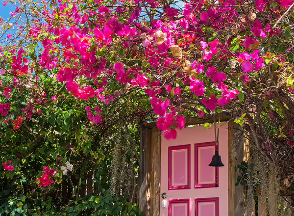 vines over doorway