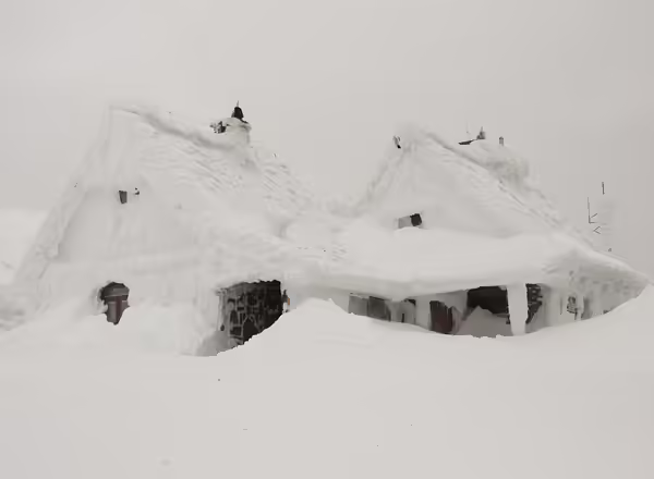 house covered in snow