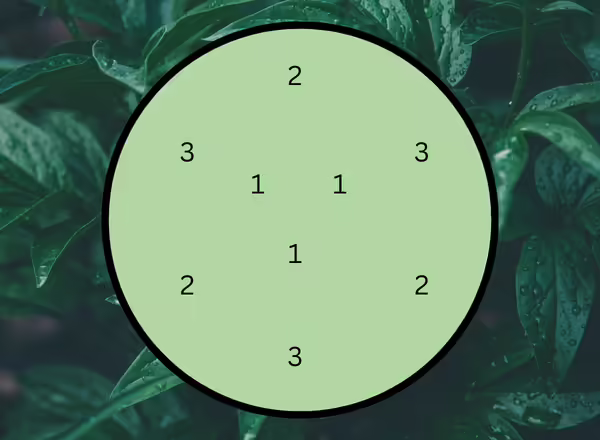 A diagram showing how to make A Yellow Combination of Common Annuals