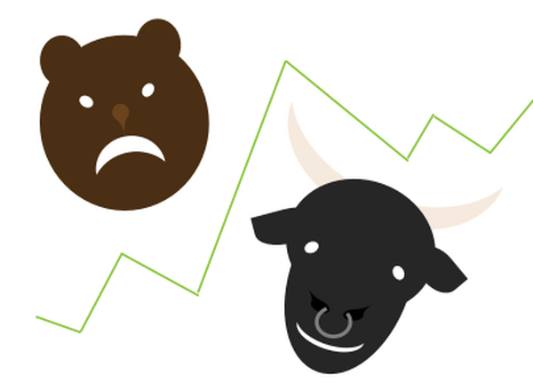 Bear and bull with stock market line