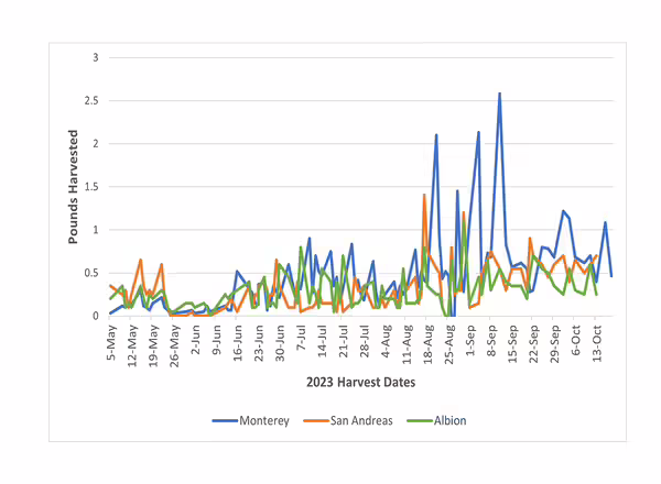 Harvest date of three varieties of strawberries grown in high tunnel chart