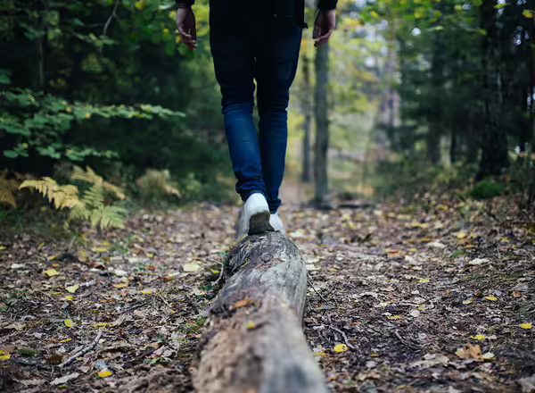 A person walking through a dense forest