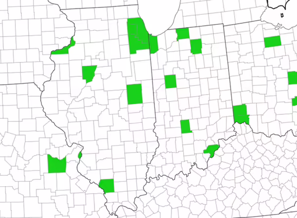 A map showing the midwest and where the Amur Corktree can be found