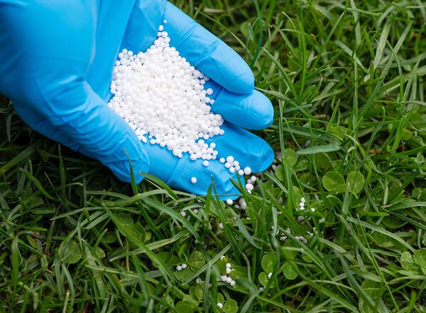 nitrogen fertilizer on lawn