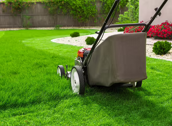lawn mower