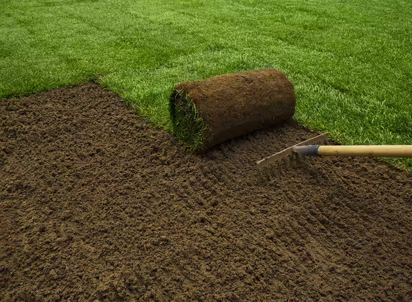 bare ground being prepared for sod lawn installation