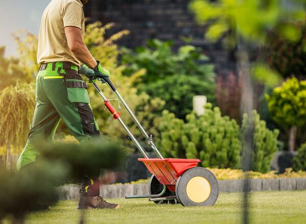 professional lawn care spreading grass seed