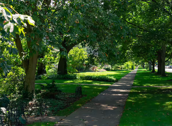 lawns in shade under trees