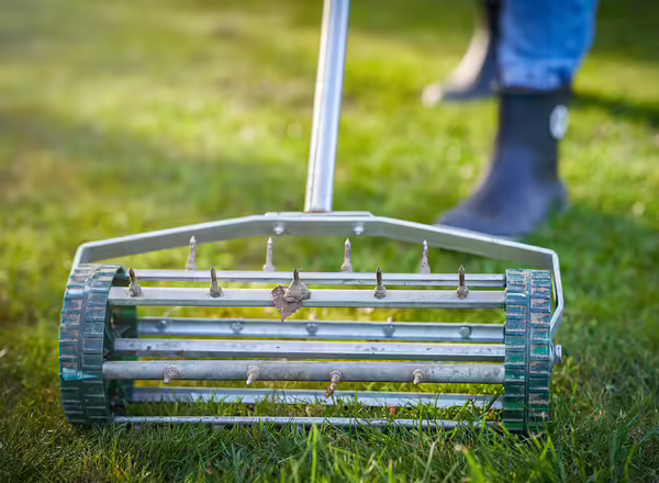 aeration on grass lawn