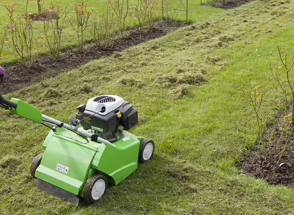 dethatcher removing thatch in lawn
