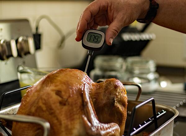 meat thermometer in turkey