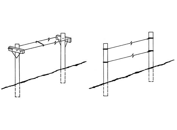 2 types of trellises. Left: Horizontal trellis suitable for red raspberries and requires a minimum of typing of canes. Right: The two-wire vertical trellis allows canes to be tied to it.