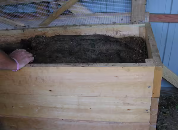 compost bin
