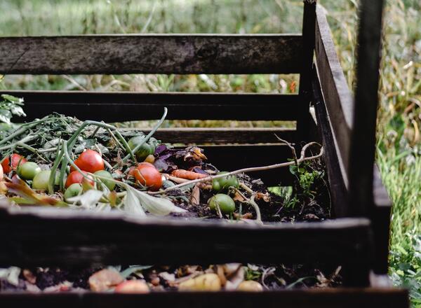 compost bin with old vegetables