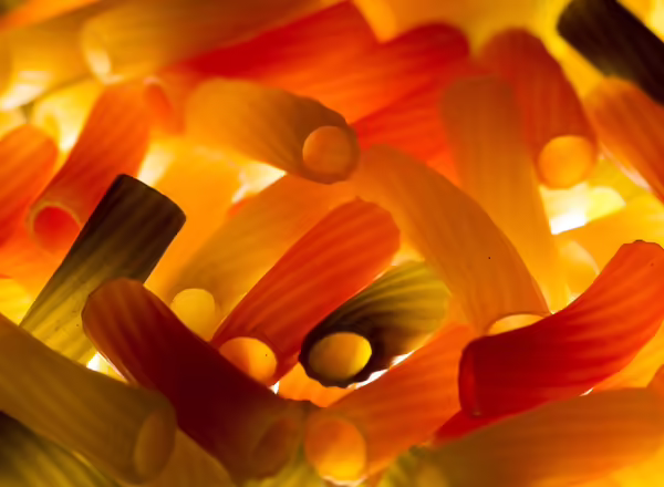red, green, yellow pasta