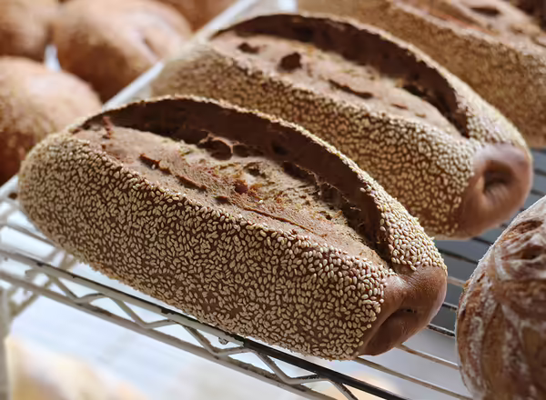 2 whole grain breads