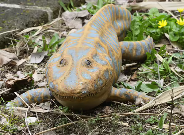 Three-dimensional reconstruction of a Devonian amphibian Ichthyostega