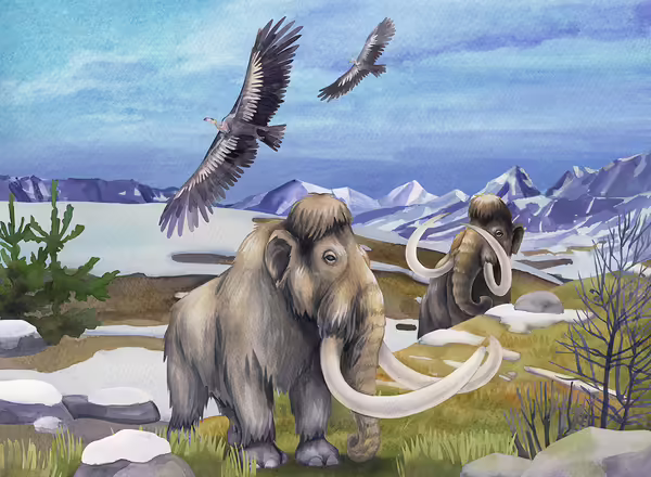 drawing of prehistoric mastedon