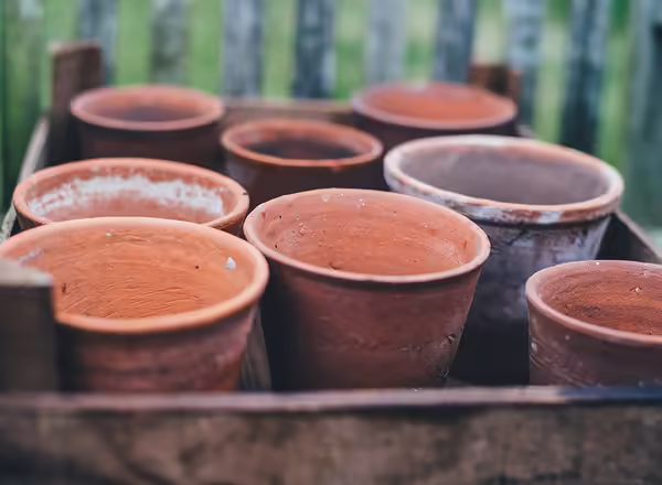 clay pots