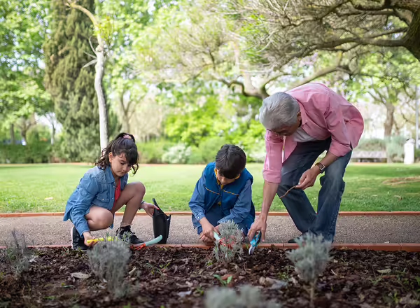 A group of kids helping plant plants