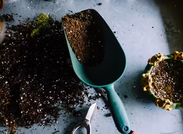 A dirty trowel