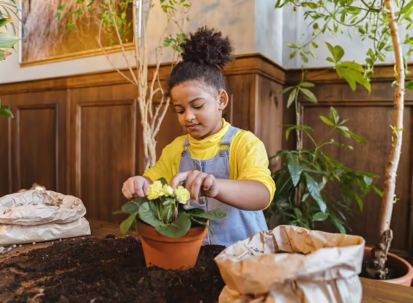 A young girl planting