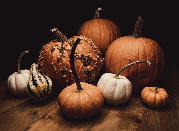 several different varieties of pumpkin on a table