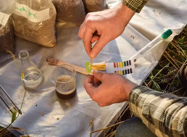 Closeup of agronomy specialist testing soil sample ph value outdoors, using laboratory equipment, performing soil certification at agricultural grain field sunrise. Environment research.