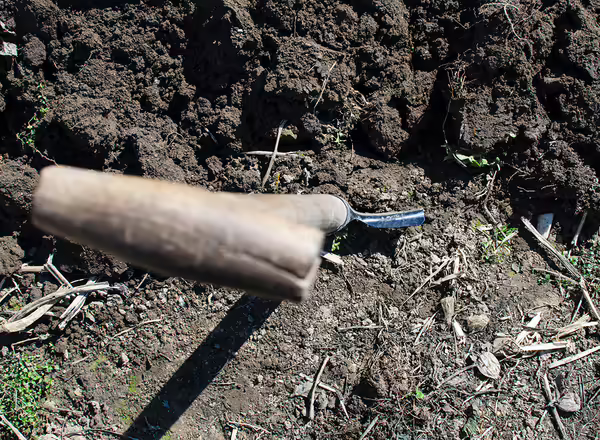 shovel in dirt