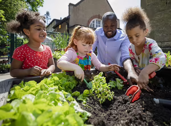 A teacher and three of his pupils planting flowers in a raised bed in the school garden in a school in Hexham in the North East of England. They are smiling and enjoying getting their hands dirty.