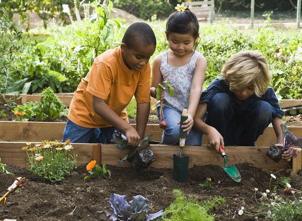 3 youth digging in dirt of raised bed planting plants