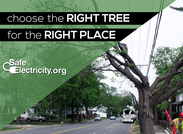 choose the right tree for the right place tree being cut near powerlines with safe electricity logo