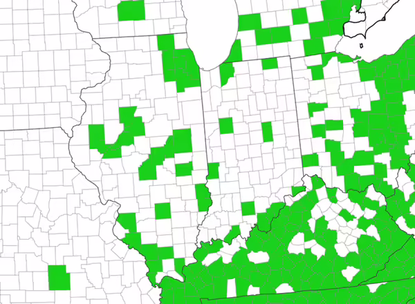 map of extent of privets in US
