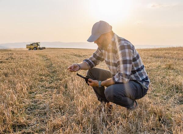 Male Farmer is Holding a Digital Tablet in a Farm Field. Smart Farming
