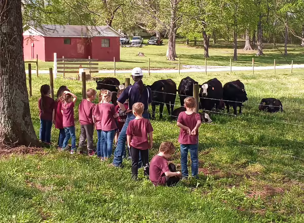 cow station at stewarship week