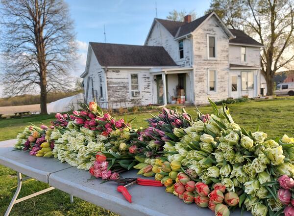 Flower arrangement on table with farmhouse in background