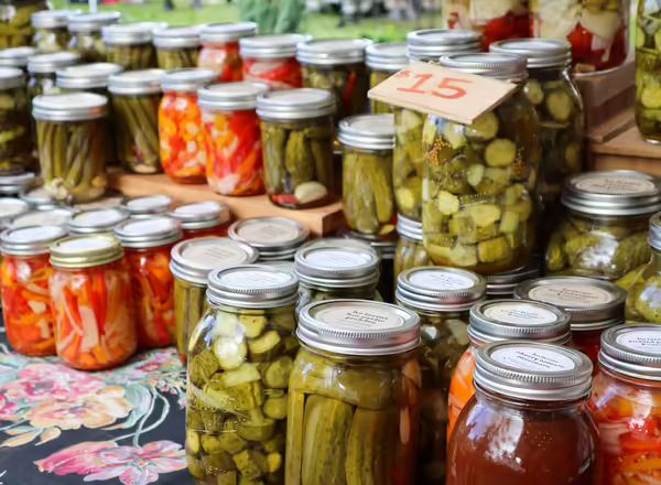 rows of vegetables canned for preservation