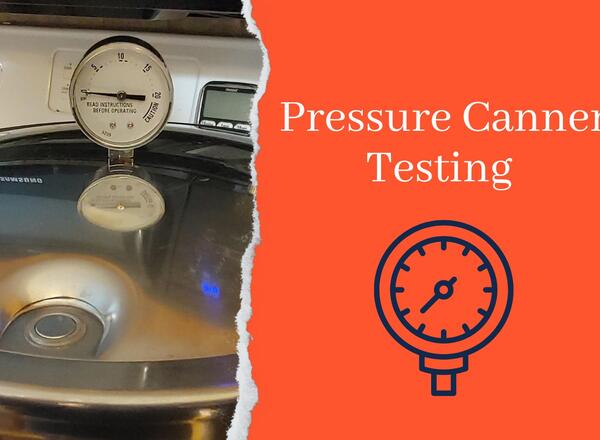 pressure canner gauge