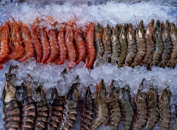 Seafood on ice at meat counter