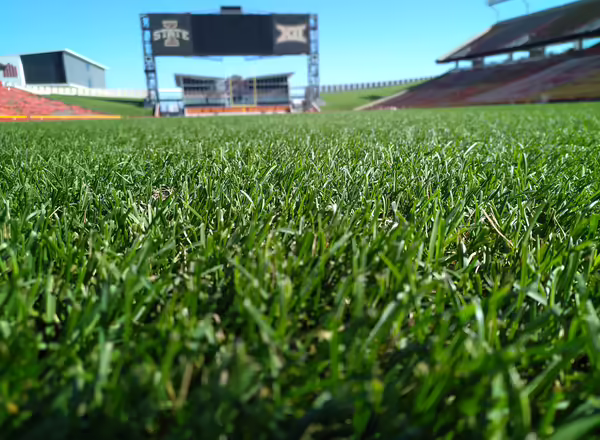 Closeup photo of athletic turfgrass