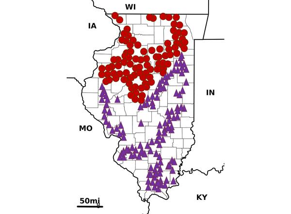 map of illinois with red circles and purple triangles